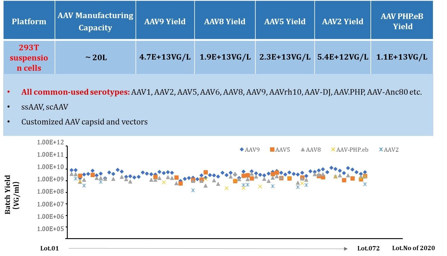 Stability of GVC AAV Production