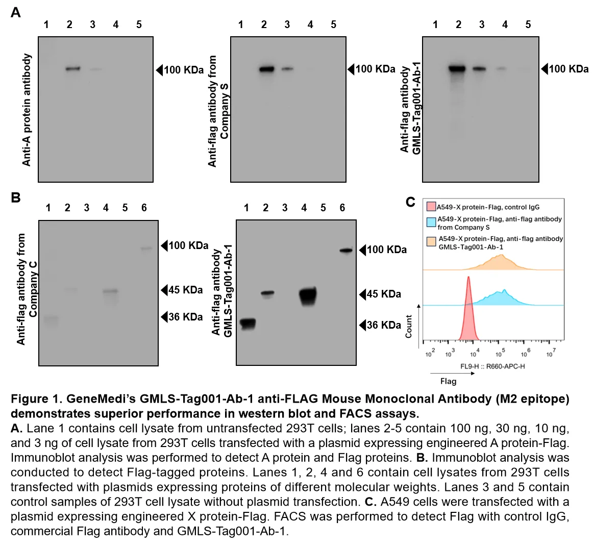 Tau ELISA Validation