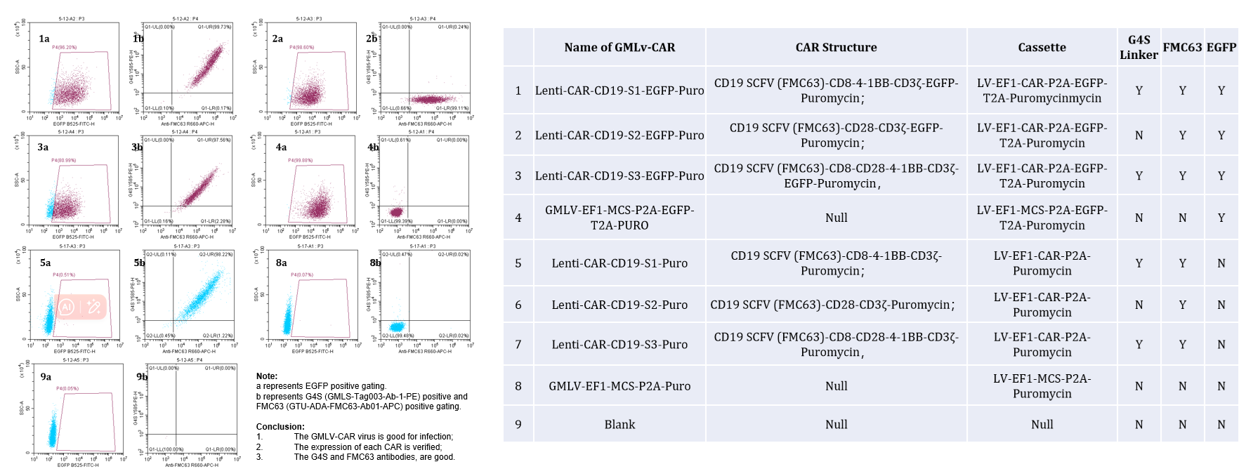 GM-Lenti-CAR Lentivirus