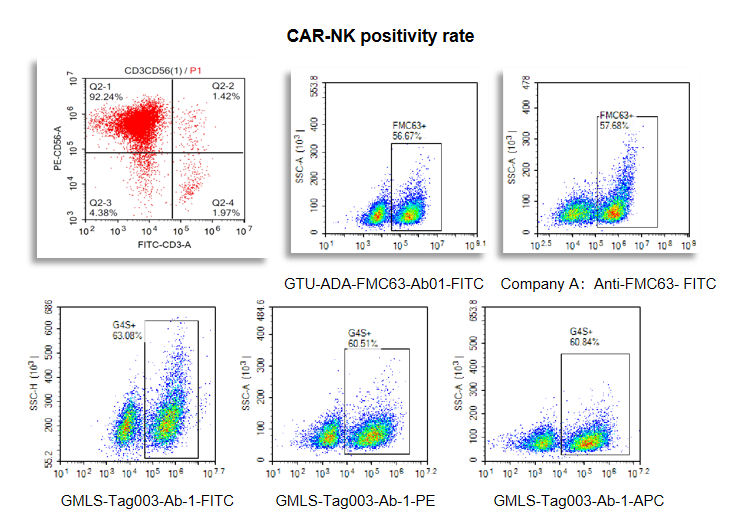 FMC64 and G4S Linker antibody validation