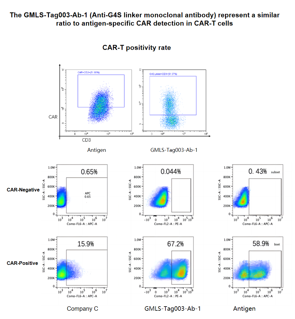 G4S Linker antibody validation