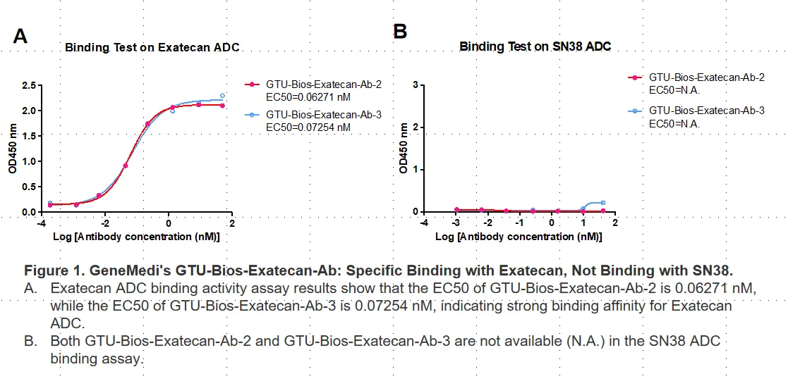 Exatecan-Figure-Validation-1