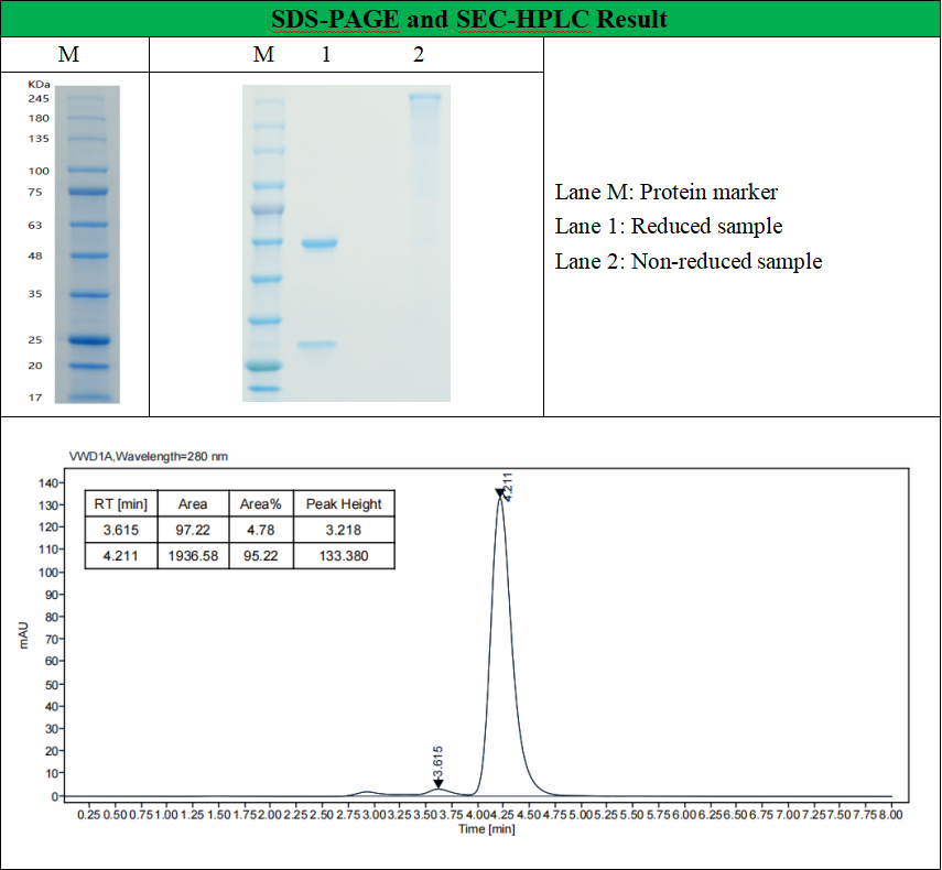 SDS-PAGE and HPLC results of GMP-Bios-ab-379