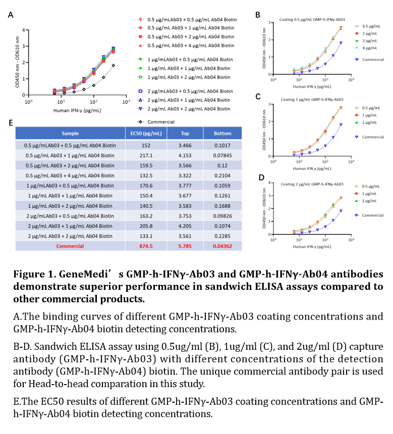 GMP-h-a-IFN Validation