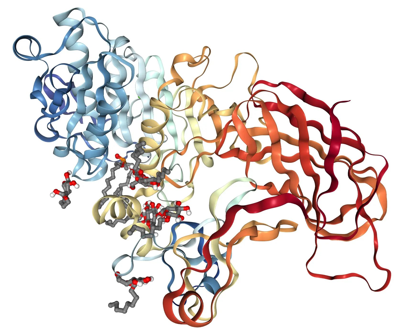 Structure of PNLIP.