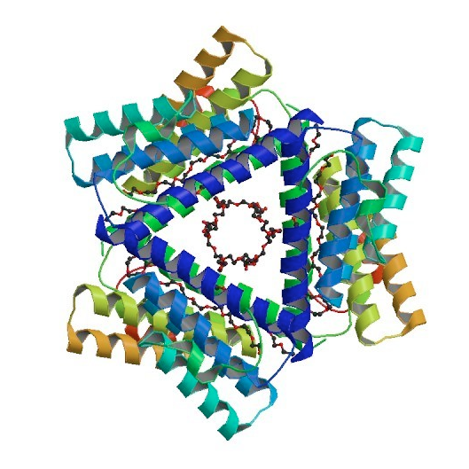 SAA (Serum Amyloid A)