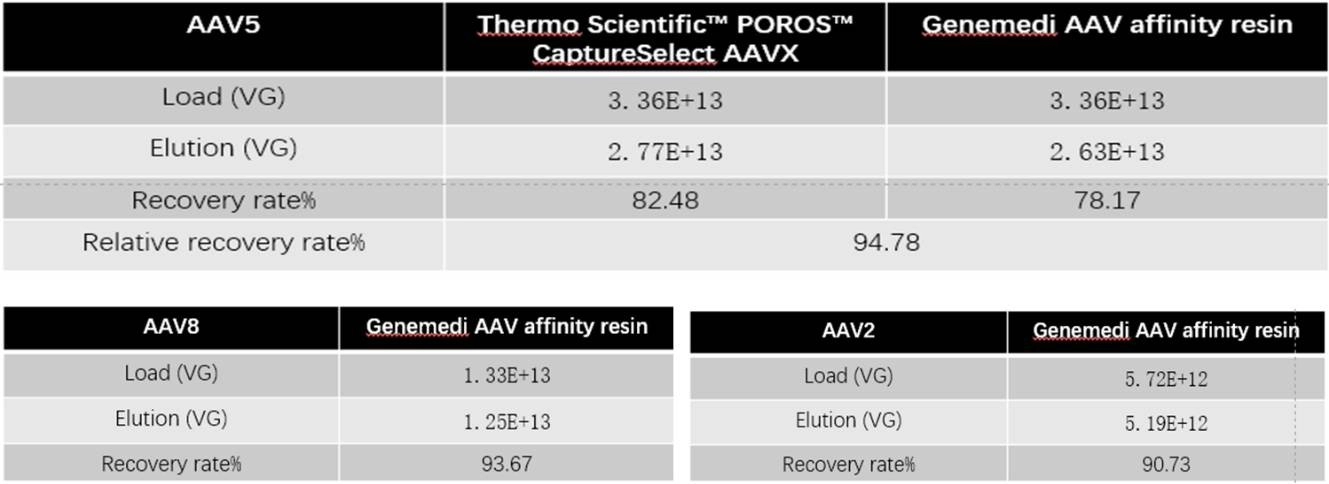 AAVs Affinity Purification Efficiency