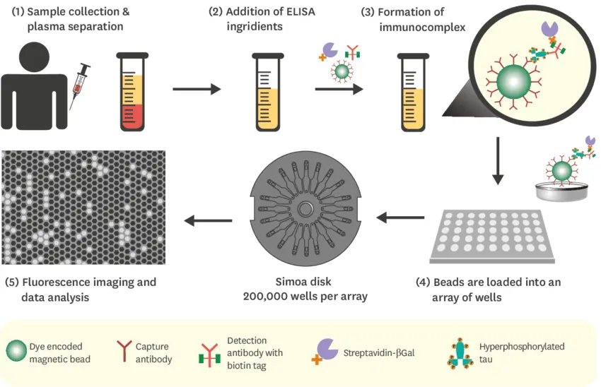 Detecting misfolded proteins in blood through SIMOA technology for the diagnosis of Alzheimer's disease