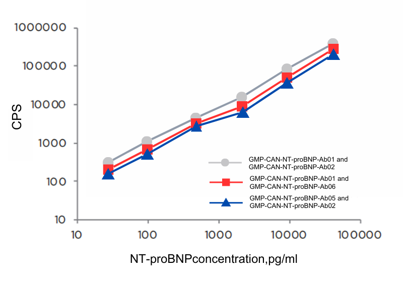 NT-proBNP detection